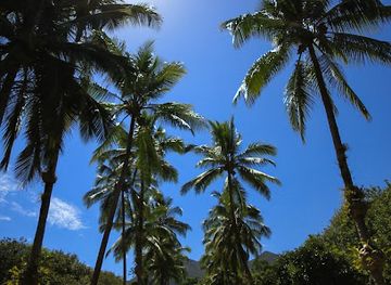 australia/cape-tribulation/landmark/cape-trib-exotic-fruit-farm