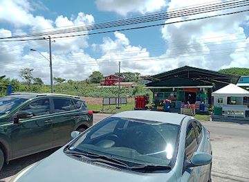 trinidad-and-tobago/mayaro-rio-claro/landmark/the-original-pizza-parlour