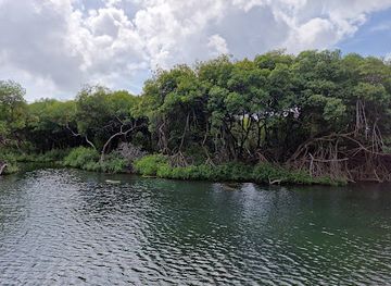 curacao/punda/landmark/curacao-rif-mangrove-park