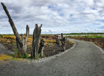 ireland/county-longford/landmark/corlea-bog-amenity-walk