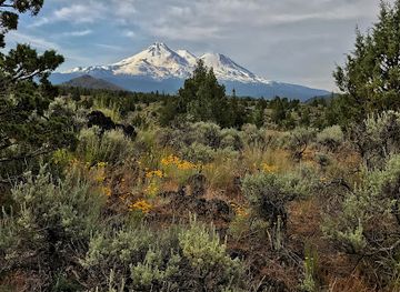oregon/umpqua-valley/landmark/pluto-s-cave