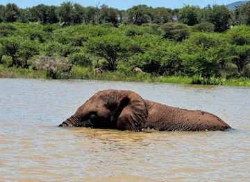 south-africa/elephant-coast/landmark/pongolapoortdam