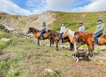 iceland/northeastern-region/landmark/eyjardalsa