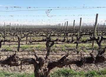 argentina/mendoza-wine-region/landmark/dona-paula