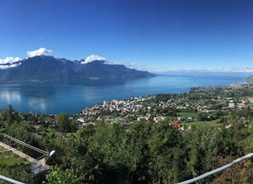 switzerland/vevey/landmark/blonay-chamby-museum-railway