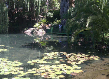 botswana/kgalagadi-transfrontier-park/landmark/kalahari-desert
