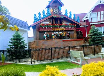 ohio/amish-country/landmark/alpine-hills-museum