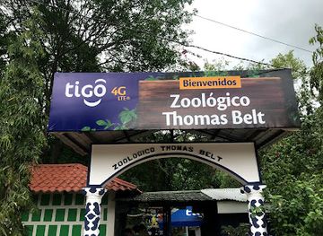 nicaragua/chontales-hills/landmark/thomas-belt-zoo