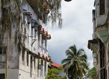 tanzania/zanzibar-city/landmark/colors-of-zanzibar