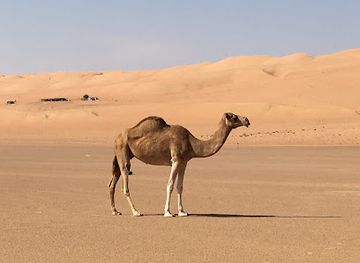 oman/rub-al-khali-desert/landmark/w6-balcony-walk-hike