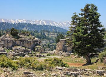 lebanon/akkar/landmark/amou3a