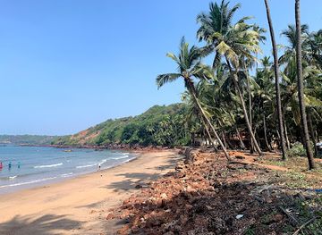 india/goa-beaches/landmark/canaguinim-beach