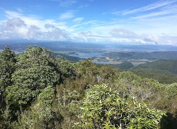 chile/los-rios-region/landmark/oncol-park