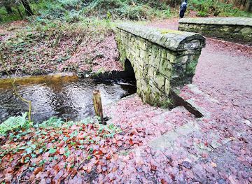 ireland/county-longford/landmark/derrycassin-woods-walk-and-playground
