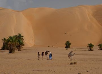 mauritania/nouakchott/landmark/sidi-tours-mauritania