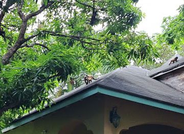 panama/pedasi/landmark/pedasi-los-santos