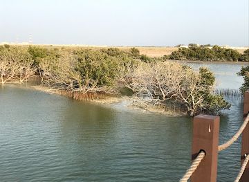 qatar/al-thakira-mangroves/landmark/purple-island-beach