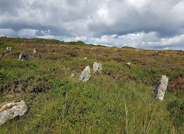 united-kingdom/caithness/attraction/hill-o-many-stanes-2