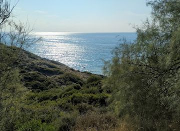 cyprus/paphos-forest/landmark/ranti-forest-beach