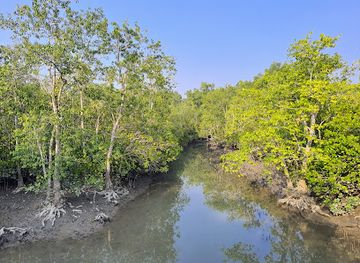 india/sundarbans/landmark/hiron-point