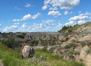 north-dakota/theodore-roosevelt-national-park/landmark/theodore-roosevelt-national-park-south-unit