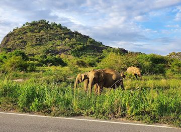 sri-lanka/udawalawe-national-park/landmark/maduru-oya-national-park