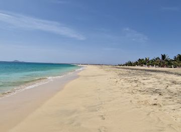 cabo-verde/praia-de-zal/landmark/projeto-biodiversidade