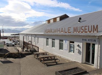 iceland/husavik-area/landmark/husavik-whale-museum