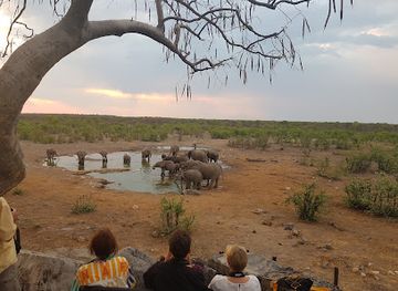 namibia/windhoek/landmark/motema-tours-and-safaris-namibia