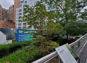 new-york/new-york-city/landmark/the-anne-frank-tree