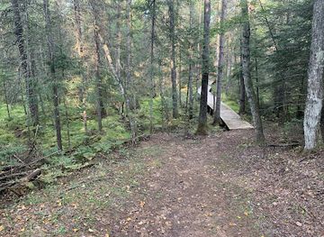 wisconsin/northwoods/landmark/fern-ridge-hiking-trail