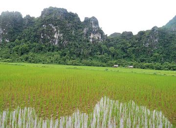 laos/vang-vieng-karst-landscape/landmark/lusi-cave