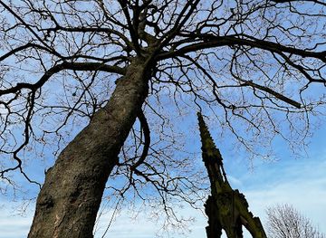 united-kingdom/liverpool/landmark/liverpools-last-duel