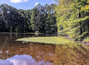 indiana/yellowwood-state-forest/landmark/jackson-washington-state-forest