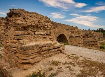 tunisia/tunis/landmark/aqueducts-of-carthage
