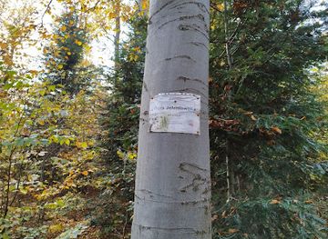 poland/Świętokrzyskie-mountains/landmark/gora-jeleniowska