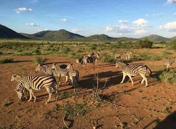 ethiopia/mago-national-park/landmark/gambella-national-park