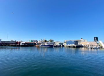 massachusetts/gloucester/landmark/7-seas-whale-watch