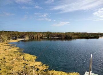 australia/great-southern/landmark/piccaninnie-ponds-conservation-park