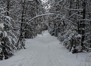 montana/missoula/landmark/rattlesnake-national-recreation-area