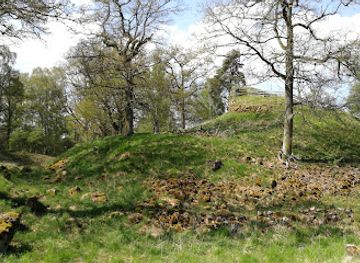 sweden/ostergotland/landmark/svaneholms-borgruin-ostergotland
