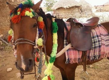 somalia/togdheer/landmark/balli-ad-togdheer-somalia