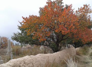 kyrgyzstan/jety-oguz-valley/landmark/jety-oguz-korustonu