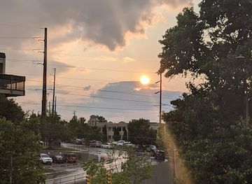 north-carolina/asheville/downtown-asheville/landmark/chicken-alley-mural