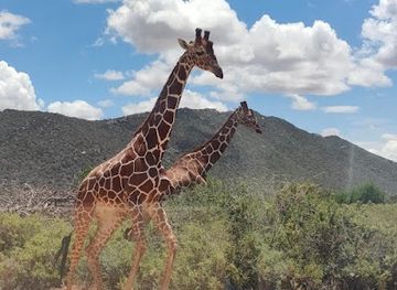 kenya/samburu-region/landmark/samburu-national-park