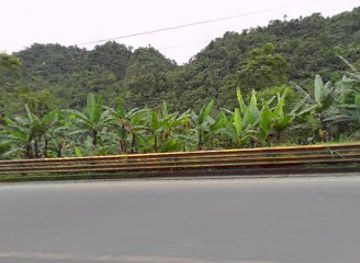 ecuador/santo-domingo-de-los-tsachilas-region/landmark/santo-domingo