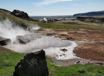 iceland/hveragerdi-area/landmark/hot-springs