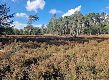 netherlands/utrechtse-heuvelrug/landmark/stameren
