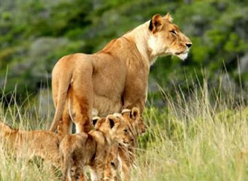 uganda/mbarara/landmark/wild-watchers-safaris-uganda