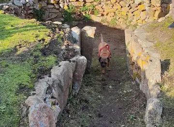 La Sergente Tomb